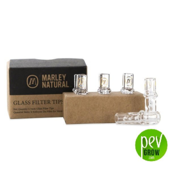 Glass Mouthpiece 6-Pack Marley Natural