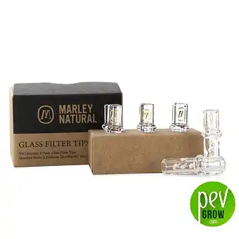 Glass Mouthpiece 6-Pack...