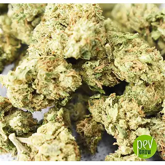 CBD бутоны на открытом...