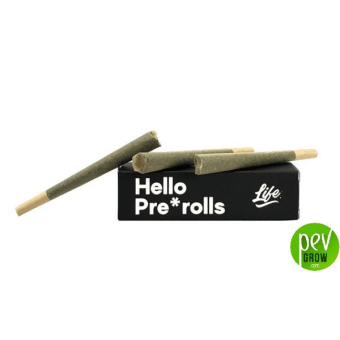 Cannagar