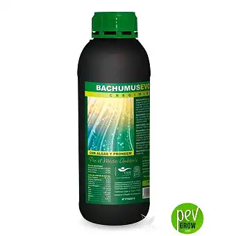 Bachumus Evolution C –...