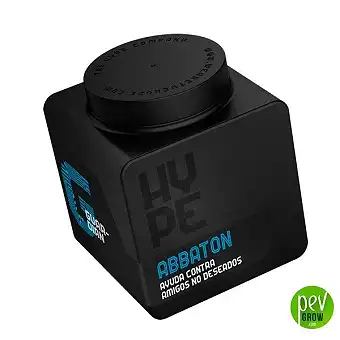 Abbaton The Hype Company –...