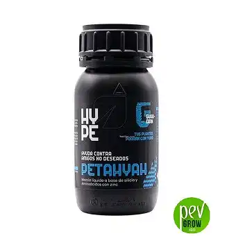 Petahyah The Hype Company –...