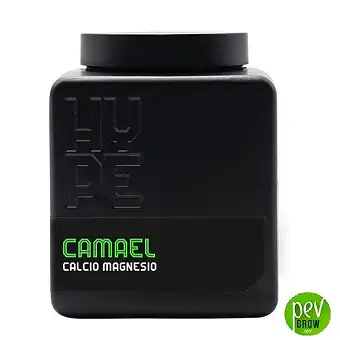 Camael (Calcium-Magnesium)