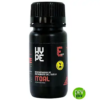 ITQAL — регенератор...