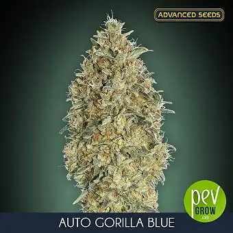 Auto Gorilla Blue van...
