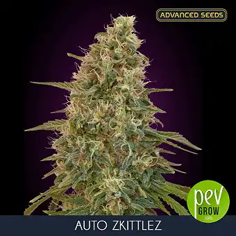 Auto Zkittlez Advanced Seeds