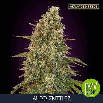 Advanced Seeds'ten Auto...