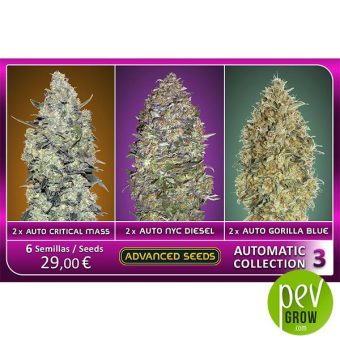 Pack Collectionneur Auto 3 Advanced Seeds