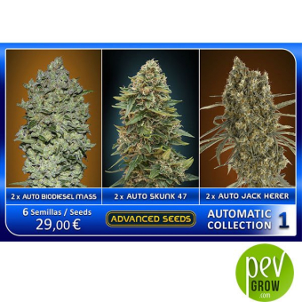 Pack Collectionneur Auto 1 Advanced Seeds