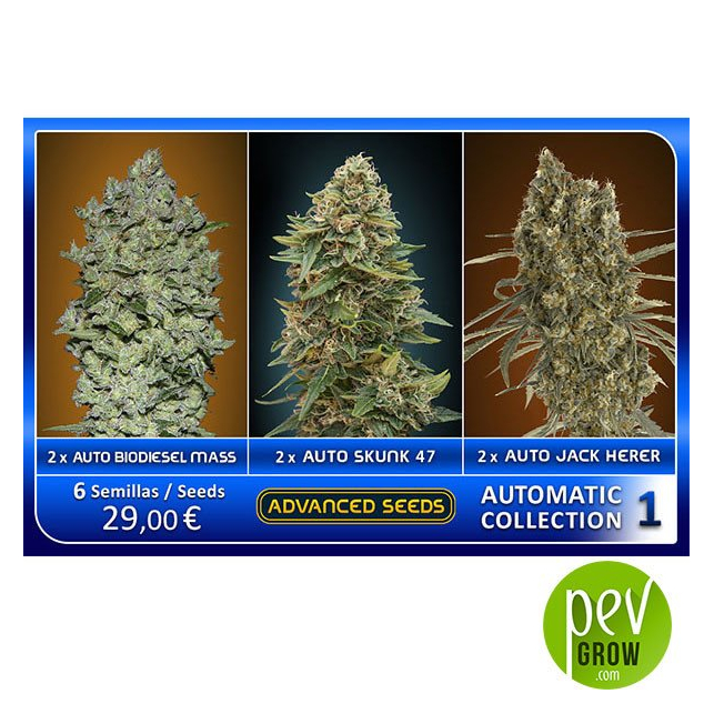 Collector Pack Auto 1 Advanced Seeds