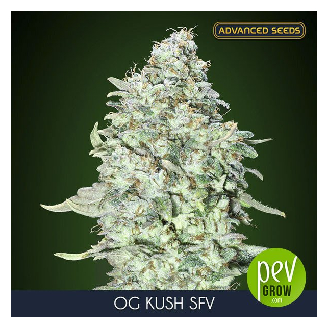 OG Kush SFV Advanced Seeds