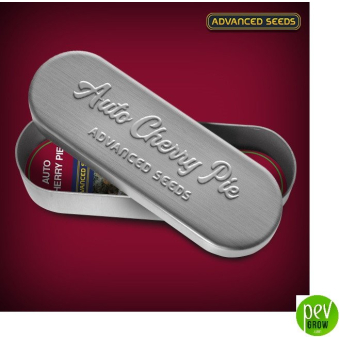 Auto Cherry Pie Advanced Seeds - Advanced Seeds
