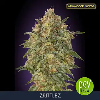 Zkittlez da Advanced Seeds...