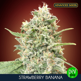 Strawberry Banana