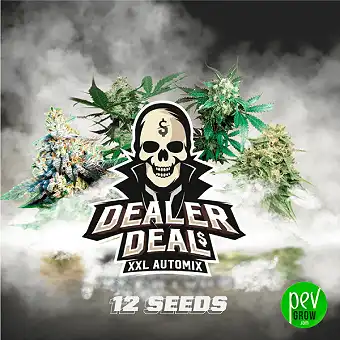 Dealer Deal XXL Automix...