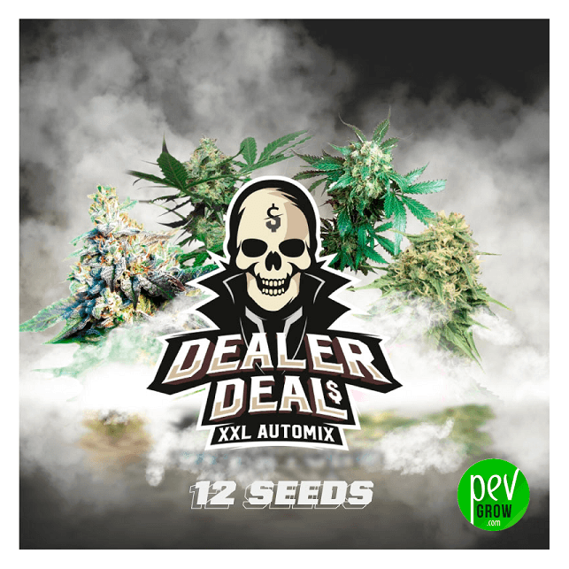 Dealer Deal XXL Automix