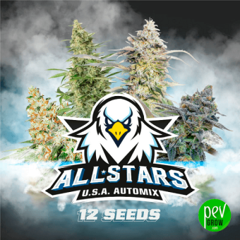 All Star USA Automix