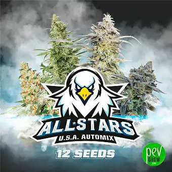All Star USA Automix –...