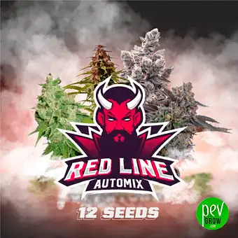 Llavors Red Line Automix –...