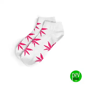 Marijuana leaf socks