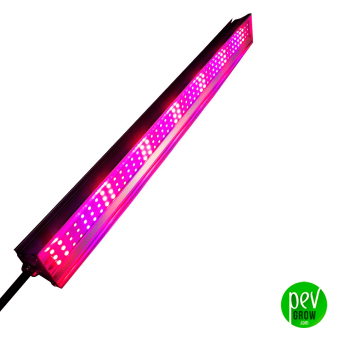 Panel Led Top Flora 30W Innotech