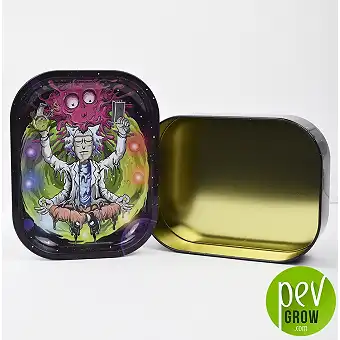 Rick and morty rolling tray...