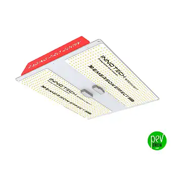 Innotech Raging LED augu...