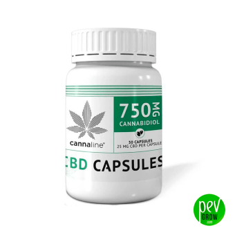 Buy CBD capsules