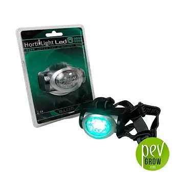 Zeleni glavni svetilnik –...