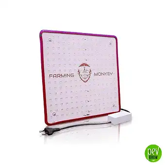 Farming Monkey Painel LED...