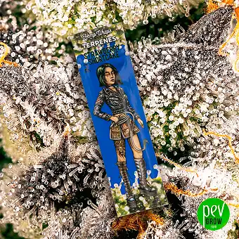 Hemp Wrap Terpenoak – Blunt...