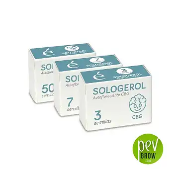 Semi di Sologerol Auto CBG...