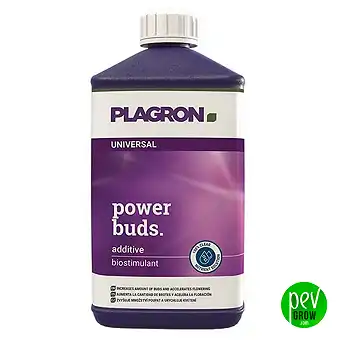 Plagron Power Buds –...