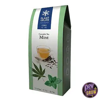 Plant of Life Tè Mint 7%-8%...