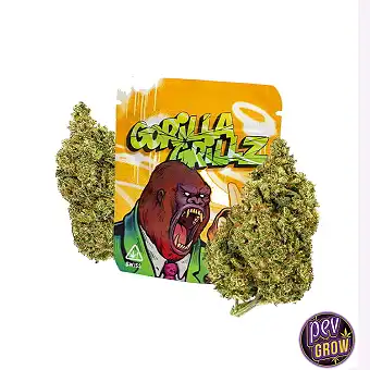 Fiori di CBD Gorilla Grillz