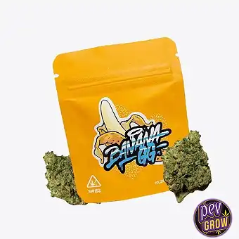 Gorilla Grillz CBD-blommor...