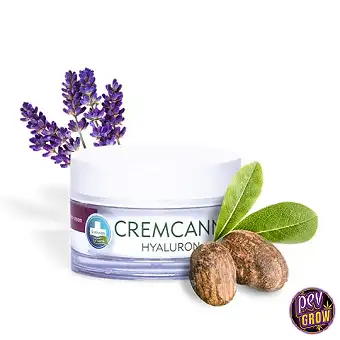 Annabis Cremcann Hyaluron ·...