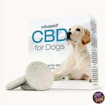 CBD Pilulak Txakurren...
