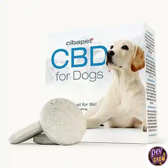 Comprimés CBD pour chiens -...