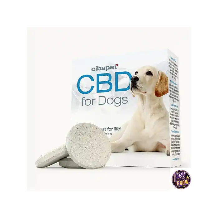 Huile CBD pour chien, CB 5%, Pour chien de taille moyenne