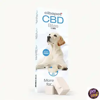 CBD snacks for dogs - Cibdol