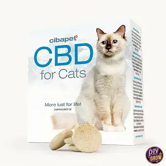 CBD-Tabletten für Katzen-...