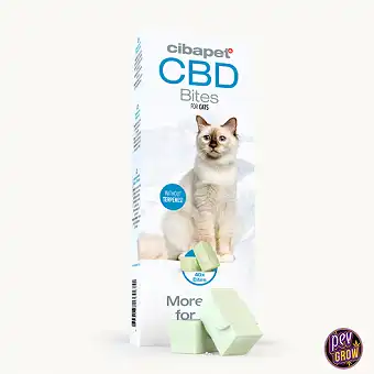Snacks with CBD for cats -...