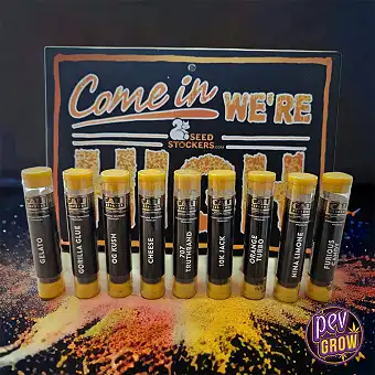 Konopné terpeny Cali – 100...