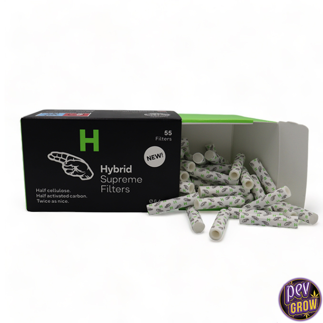Clipper | Infusion Peppermint Bio | 250 stuks kopen