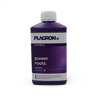 Power Roots