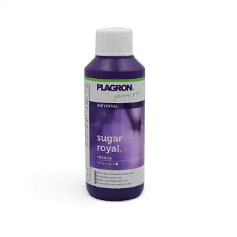 Sugar Royal