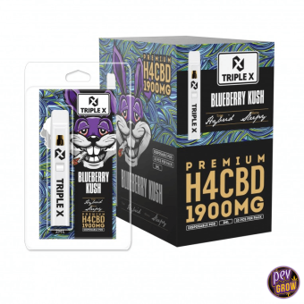 Buy Vaper Disposable Triple X H4CBD Blueberry Kush 2ml Acan