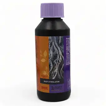 B'cuzz Root Stimulator von...